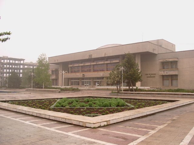 Photograph
